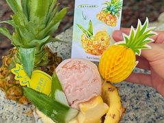 -苏小糖(鼓浪屿三丘田花园店)