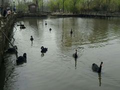 android_upload_pic-溱湖国家湿地公园