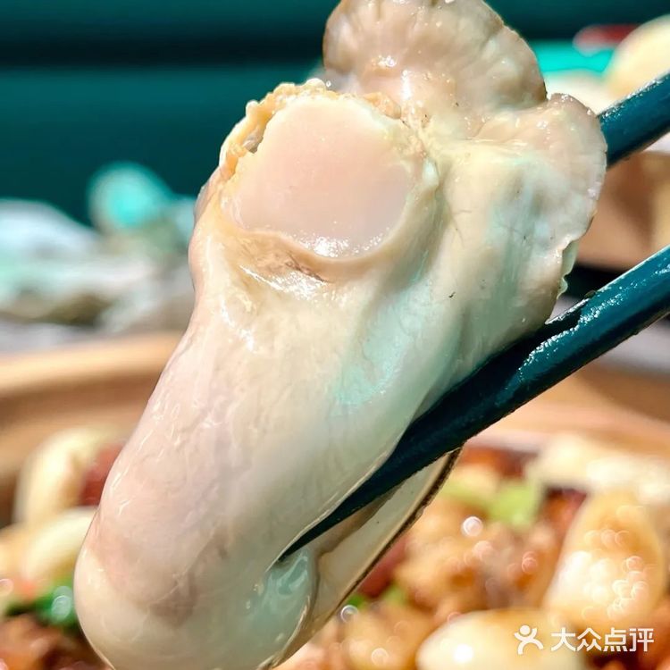 巴掌🤲大肥蚝真的好好吃‼️后悔才知道