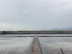 -莺歌海盐场
