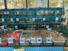 水产区-锦里海景海鲜餐厅.三亚老字号(亚龙湾中心广场店)