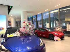 -TESLA 特斯拉(广州天环广场体验店)
