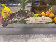-盛宴标帜餐厅·亲子自助 (南昌喜来登酒店)