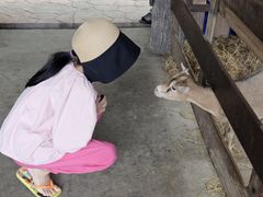 -清迈夜间动物园