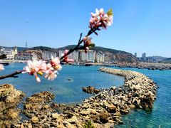 -大连老虎滩海洋公园