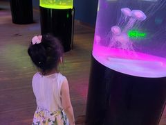 -苏州海洋馆