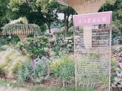 -上海滨江森林公园