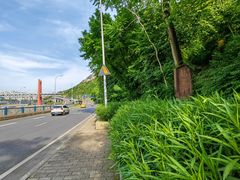 -龙泉洞(沙坪坝区)