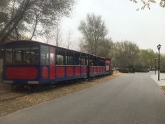 -永定河休闲森林公园