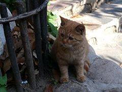 android_upload_pic-北京水岸山吧度假村(雁栖镇店)