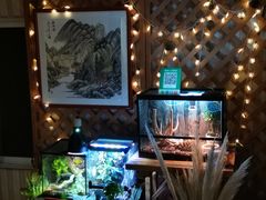 -Rabbit Cafe私房西餐甜点咖啡(栖霞路店)