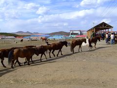 -塞罕坝国家级自然保护区