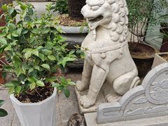 -武当山风景区