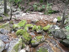 -驼梁风景区