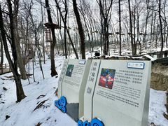 -沂蒙山旅游区云蒙景区(蒙山国家森林公园)