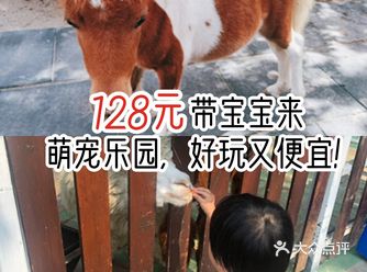 128元带宝宝来萌宠乐园，好玩又便宜！