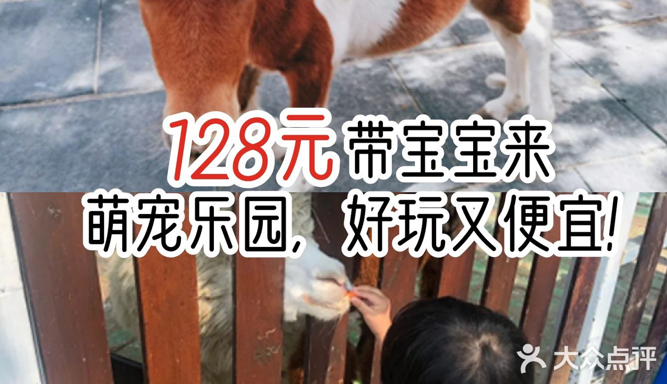 128元带宝宝来萌宠乐园，好玩又便宜！