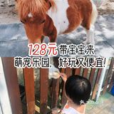 128元带宝宝来萌宠乐园，好玩又便宜！
