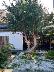 -保丽宝泰母婴护理院·月子中心·产康·中医(常州店)
