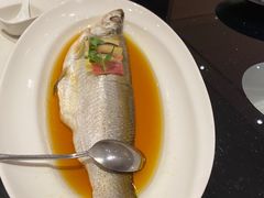 -上海1号私藏菜(黄浦店)