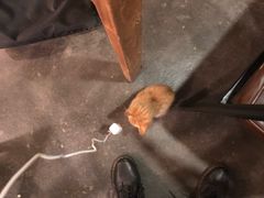 -时光转角咖啡馆(西康路店)