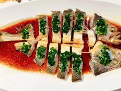 -西郊5号·Maggie 5