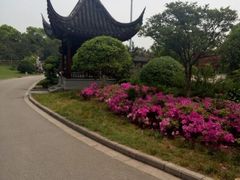 -花溪公园