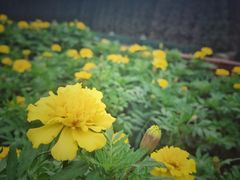 -南京金牛湖风景区