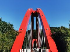 -玉树公园