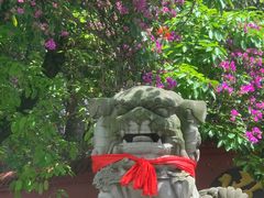 -成都南湖公园