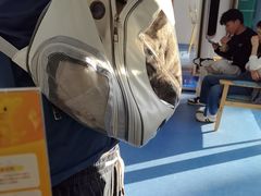 -博特宠物医院24h犬猫全科.骨科·异宠