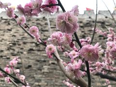 -北京明城墙遗址公园