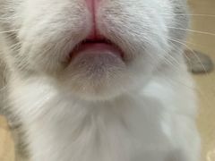 -藏猫猫咖啡主题馆(中央大道店)