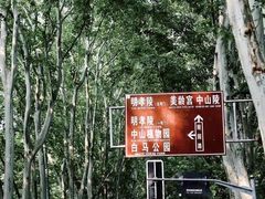 -音乐台