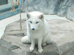 -海合安青岛极地海洋公园