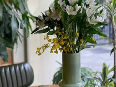 -蝶舍·MAISON PAPILLON