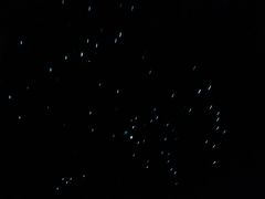 -怀托摩萤火虫洞