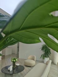 -HEYAN荷妍专业脱毛连锁机构
