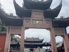 -南山植物园