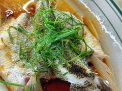 清蒸立鱼-八仔大富楼·河鲜(西江店)