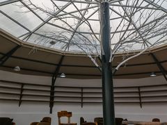-上林马术中央公园·户外露营·团建·骑乘