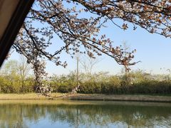 -嘉北郊野公园