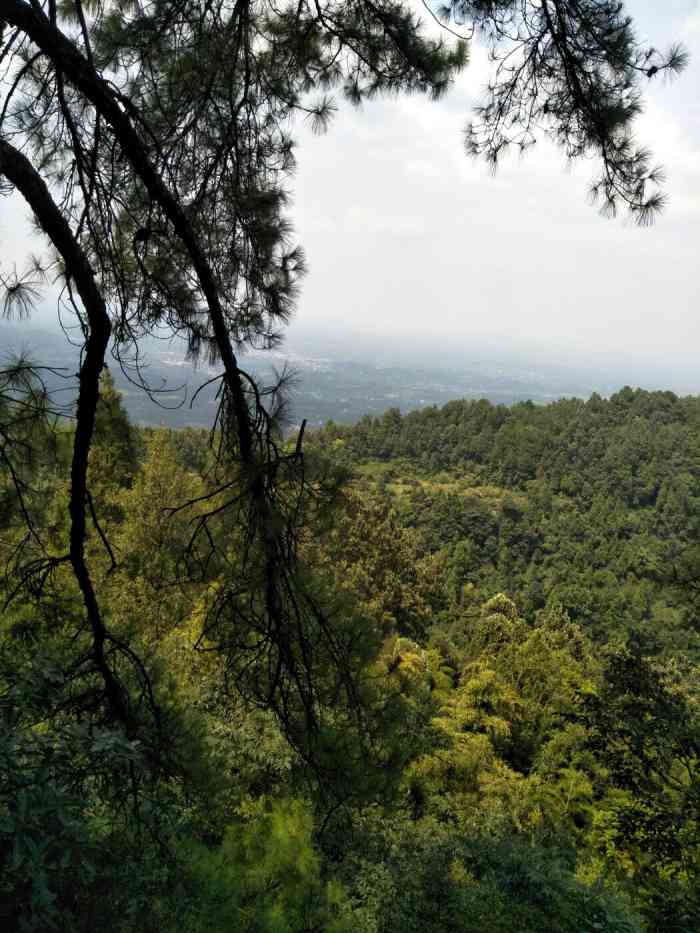 金城山生态旅游度假区-"去过最多的景区就是金城山了.路比较陡,山.