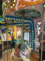 点击看大图 -卡通尼·Safari非洲探索乐园·生日会(金桥国际商业广场店)