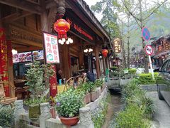 -龙翔山庄雷鸡肉(青城后山泰安古镇店)