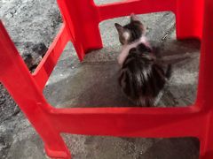 -洪大厨鸡煲(福田店)