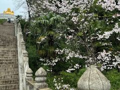 -苏州上方山国家森林公园
