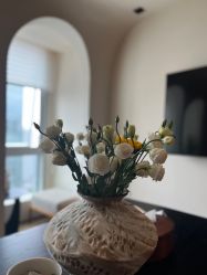 -栖SPA·ONDA ·海菲秀·皑皑科技美肤中心