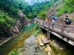 -广州白江湖森林公园