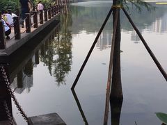 -重庆彩云湖湿地公园